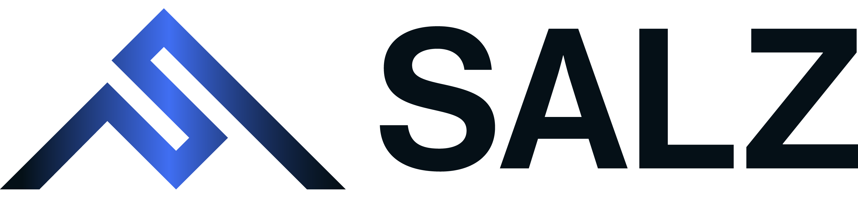 Logo SALZ